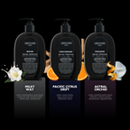 Hand Soap + Hidden Air Freshener — Discovery Set (3 Scents)